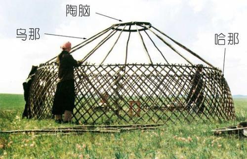 蒙古包哈那的三個神奇的特性